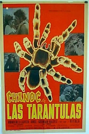 Poster Las tarántulas 1973
