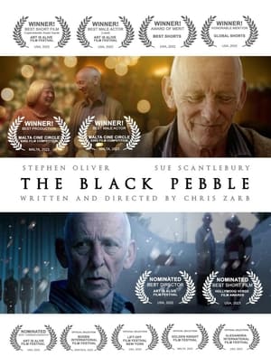 Poster The Black Pebble (2022)