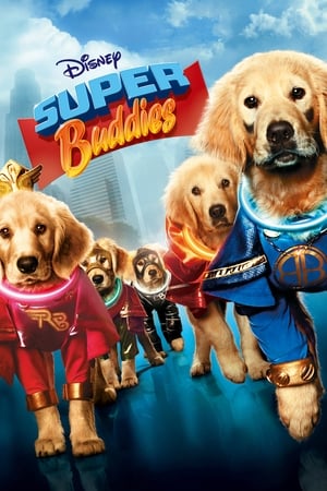 Poster Super Buddies 2013