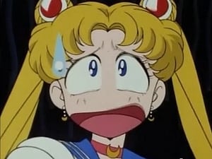 Sailor Moon: 2×4