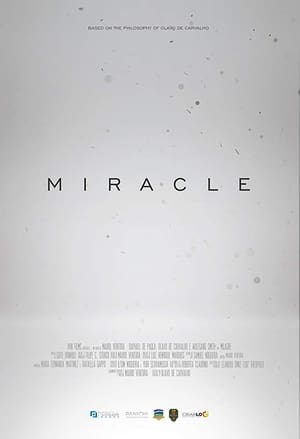 Poster Miracle (2019)