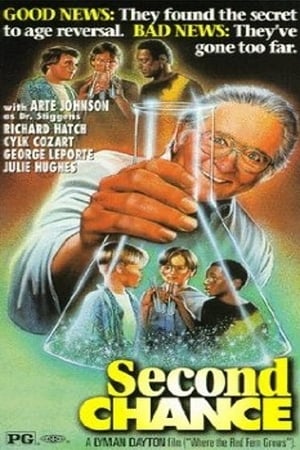 Poster Second Chance 1996