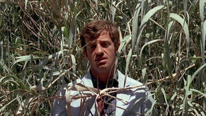 poster Pierrot le Fou