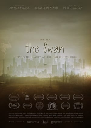Poster The Swan 2017
