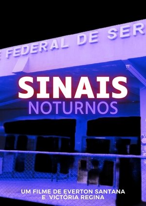 Poster Sinais Noturnos 2023