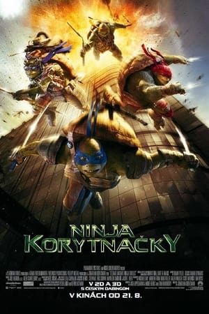 Poster Ninja korytnačky 2014