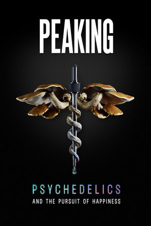 Peaking: Psychedelics and the Pursuit of Happiness