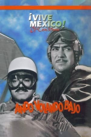 Poster Ando volando bajo 1959