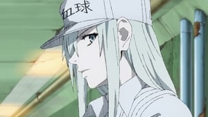 Cells at Work! BLACK (2021)