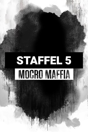 Mocro Maffia: Staffel 5