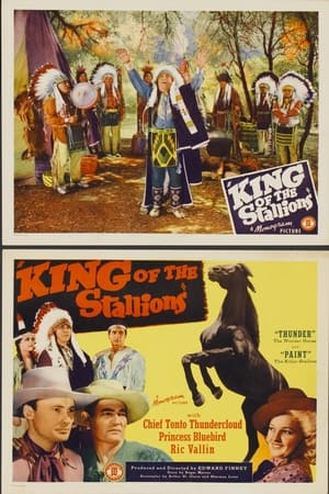 Poster King of the Stallions 1942
