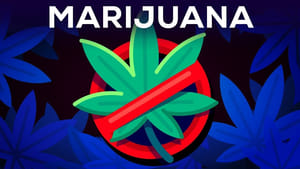 Kurzgesagt - In a Nutshell 3 Arguments Why Marijuana Should Stay Illegal Reviewed