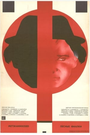 Poster Metskannikesed 1980