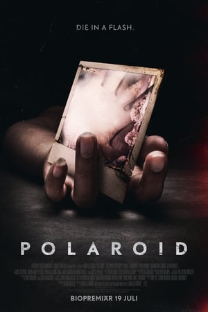 Poster Polaroid 2019