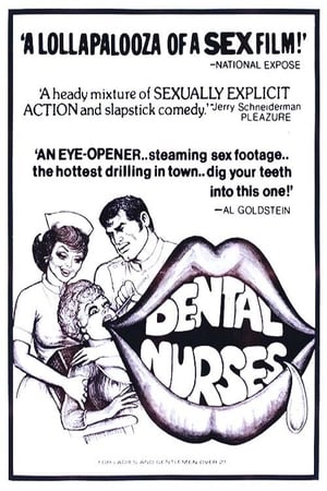 Poster The Dental Nurses (1975)