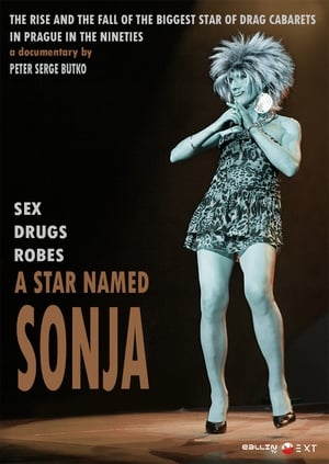 Poster A Star Named Sonja (2014)