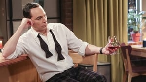 The Big Bang Theory Season 10 Episode 8