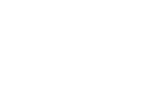 Barbie e o Portal Secreto