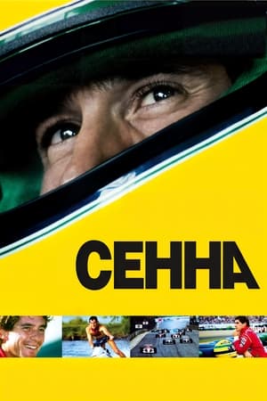 Сенна (2010)