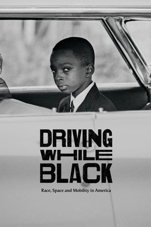 Poster Driving While Black: Race, Space and Mobility in America (2020)