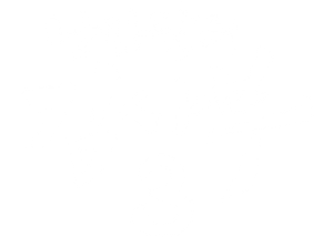 Ảnh 156