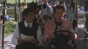 National Lampoon’s Van Wilder