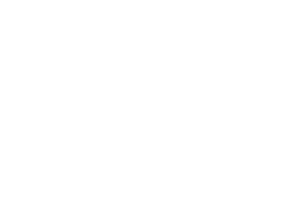 Senna — Logos 4