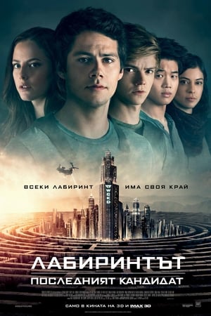 Лабиринтът: Последният кандидат (2018)