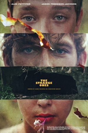 <Images posters