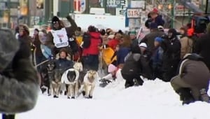 Iditarod: Toughest Race on Earth The Last Great Race