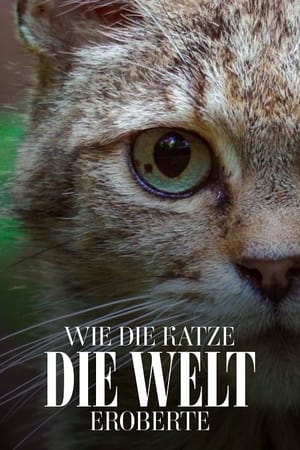 Image Wie die Katze die Welt eroberte