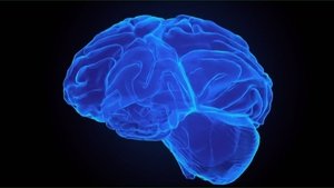 Admuwzoahpbwlydipyxqmrkpkv9