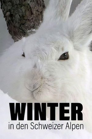 Winter in den Schweizer Alpen (2022)