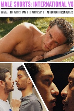 Image Male Shorts: International V6