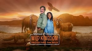 poster Mutual of Omaha's Wild Kingdom Protecting the Wild
