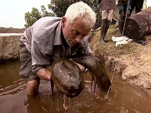 River Monsters Season 2 Episode 3