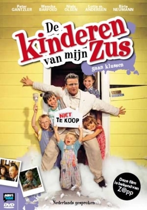 Image De kinderen van mijn zus gaan klussen