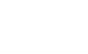 Secret Love Affair