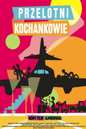 Poster Przelotni kochankowie 2013