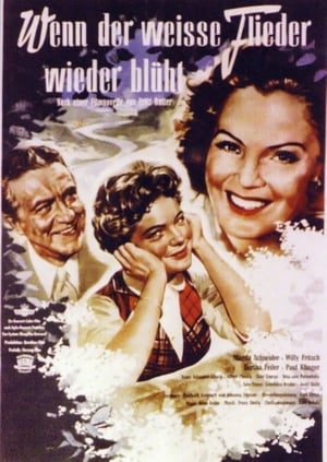 Poster Когда цветет белая сирень 1953