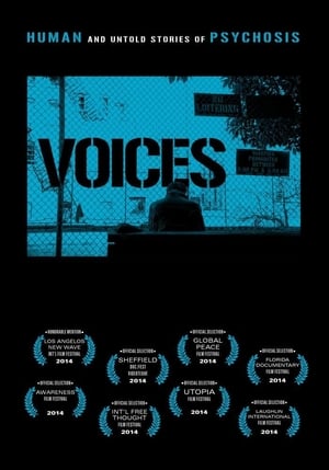 Poster Voices (2013)