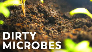 The Micro World Right Under Your Feet still