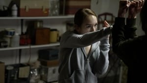 The Americans: 5×13