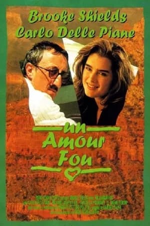 Poster Un amore americano 1994