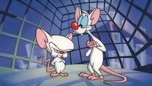 Pinky y Cerebro (1995) Pinky and the Brain