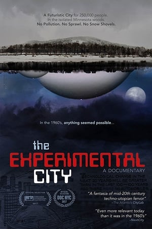 Poster The Experimental City (2017)
