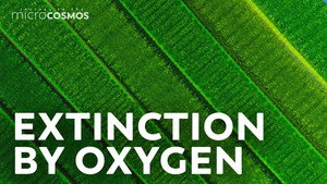 How Cyanobacteria Took Over The World still