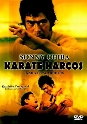 Karate harcos 1976