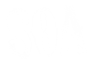 Ảnh 299