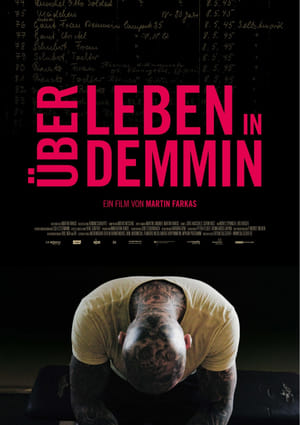 Surviving in Demmin poster